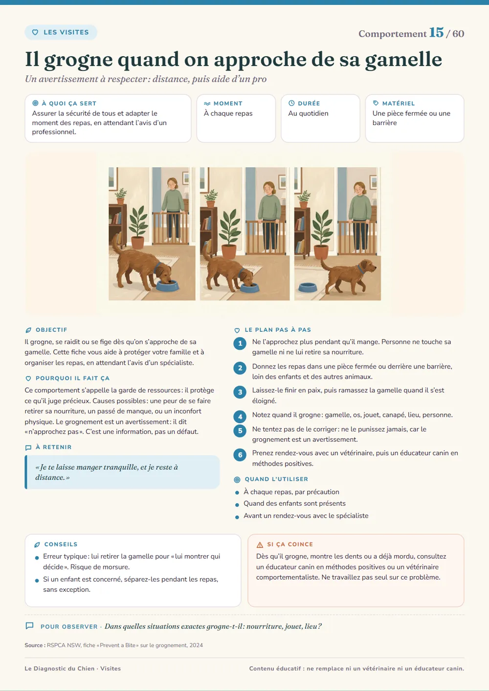 Fiche 3 : Il aboie sur les autres chiens