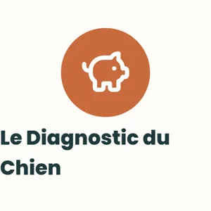 Le Diagnostic du Chien
